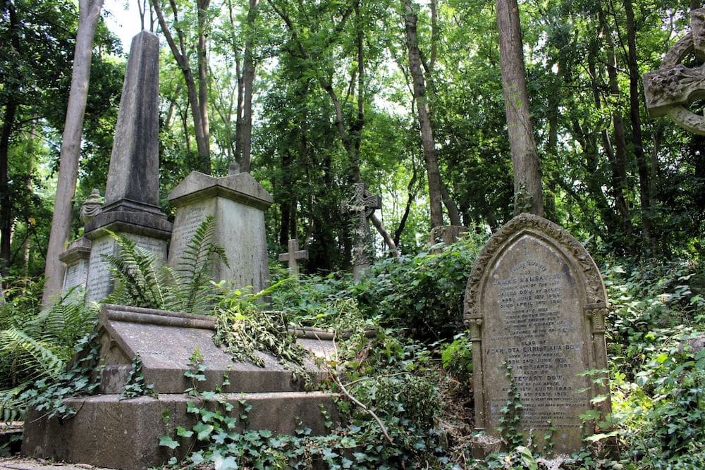 Several headstones surrounded by greenery in Highgate Cemetery – one of the best cheap things to do in London.