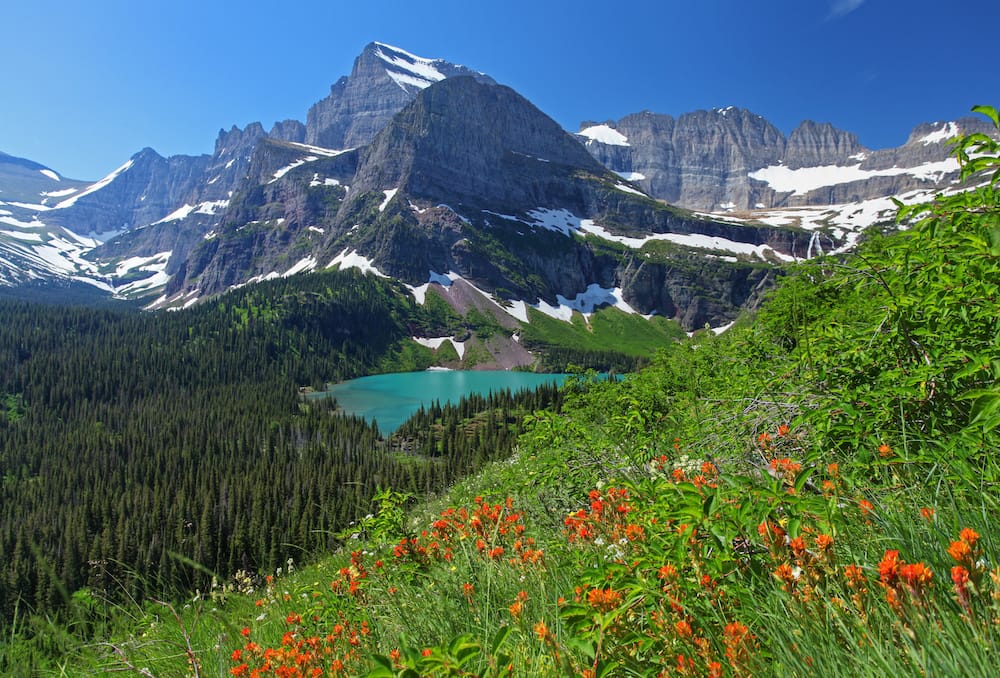 A snowcapped mountain in front of a glacier lake with red wildflowers in the foreground in Glacier National Park.