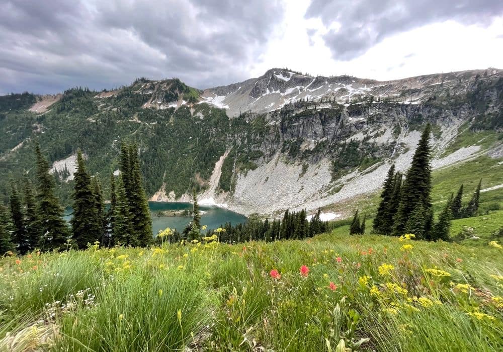 An alpine lake surrounded by wildflowers, grass, pine trees, and snowy mountains in North Cascades National Park