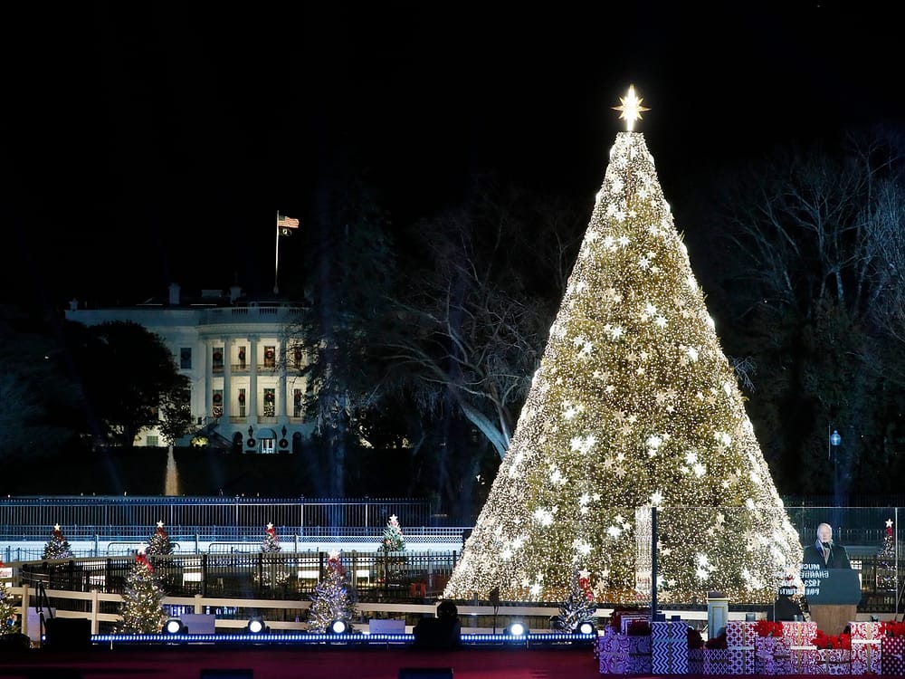 Christmas in Cities - Washington D.C.