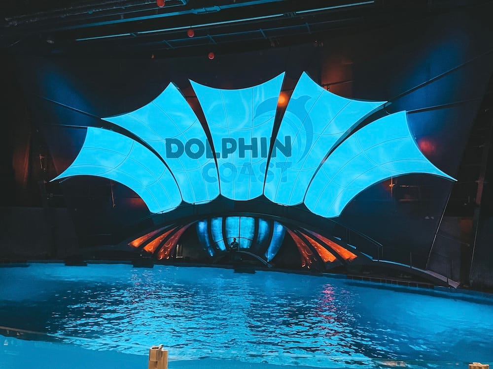 Georgia Aquarium Tips - Dolphin Presentation - Travel by Brit