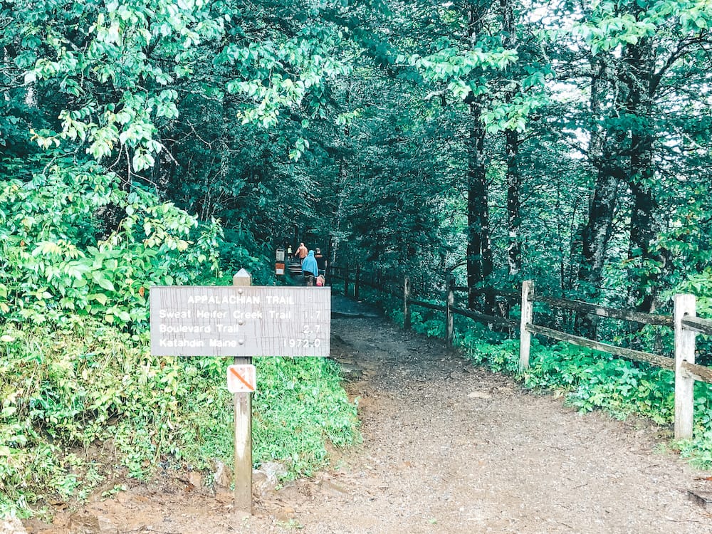 Trees and the start of the Appalachian Trail in the Great Smoky Mountains in Tennessee