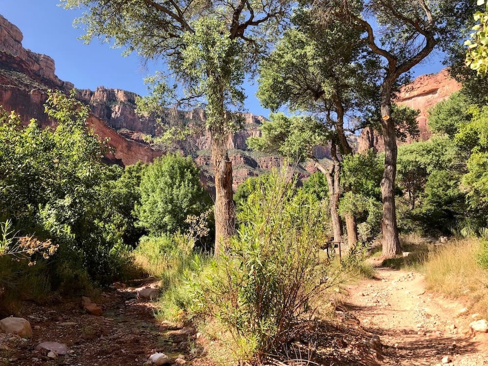 The scenery in Grand Canyon National Park, from brush and trees to the famous red rocks.