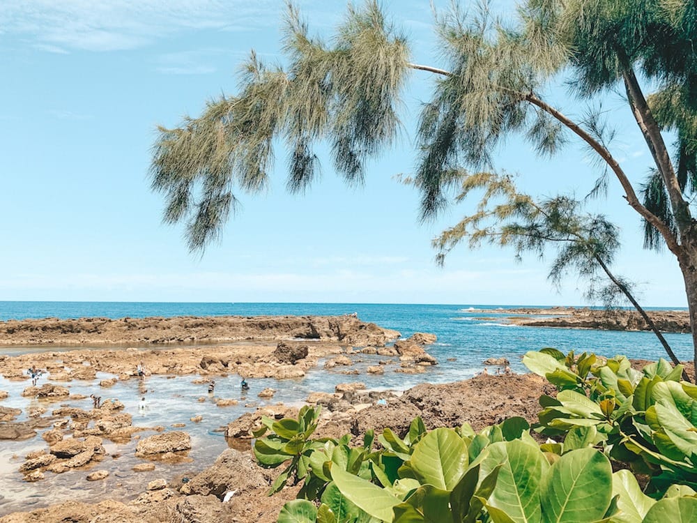 A rocky cove surrounded by trees and green leaves jutting out into the ocean.