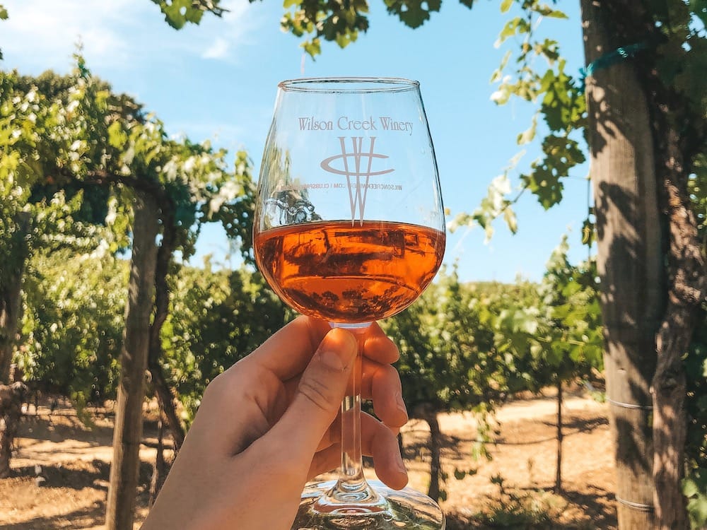 A glass of red wine being held in front of a lush, green vineyard and clear blue sky