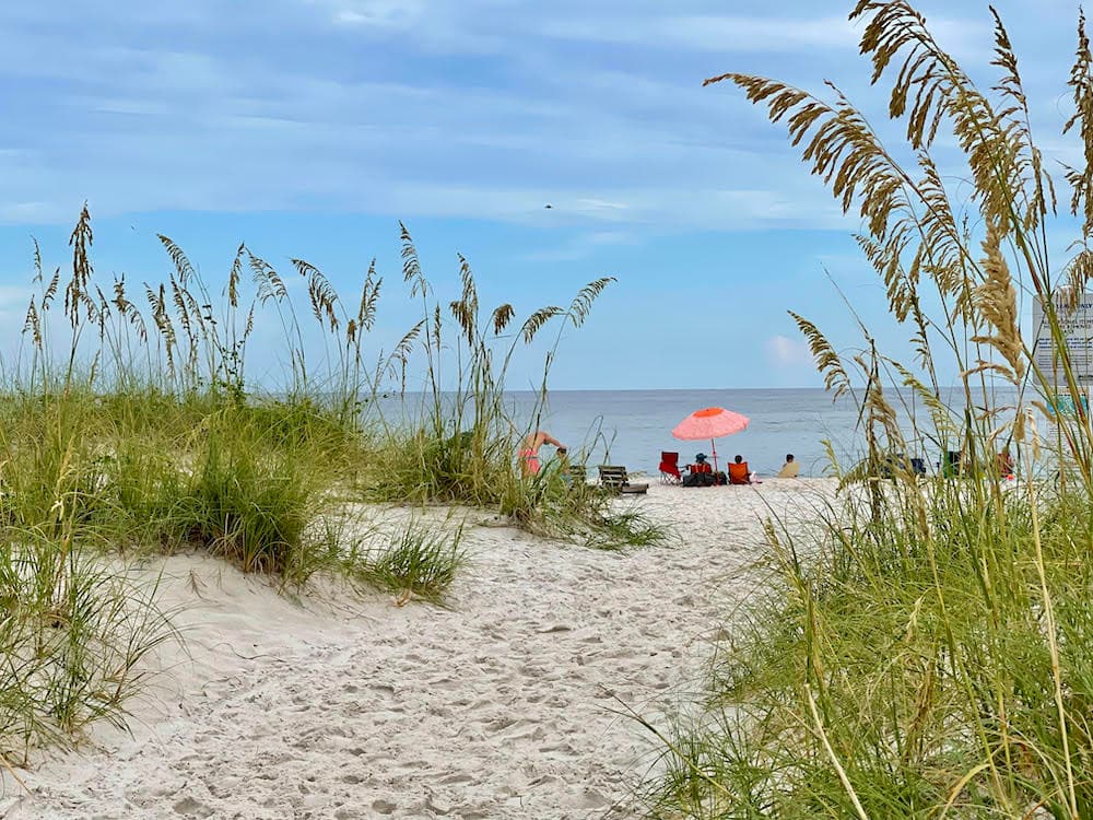 A beach with tall grasses and people sitting on the sand with a pink umbrella contrasted against the blue waves.