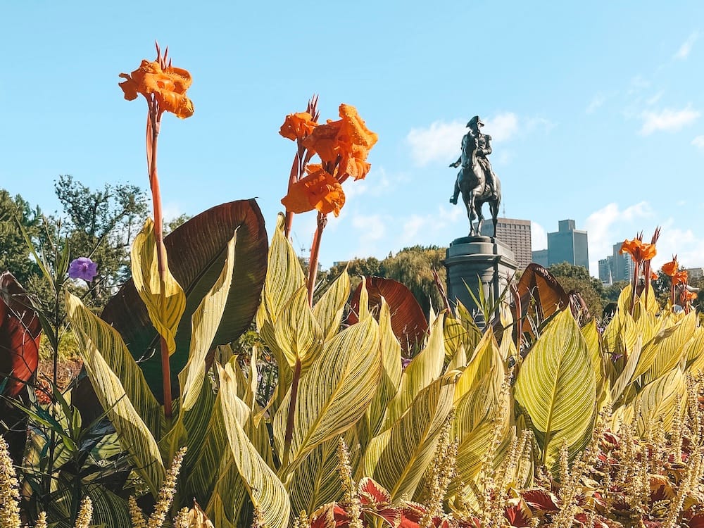 Statue of George Washington surrounded by plants and flowers in the Boston Public Garden