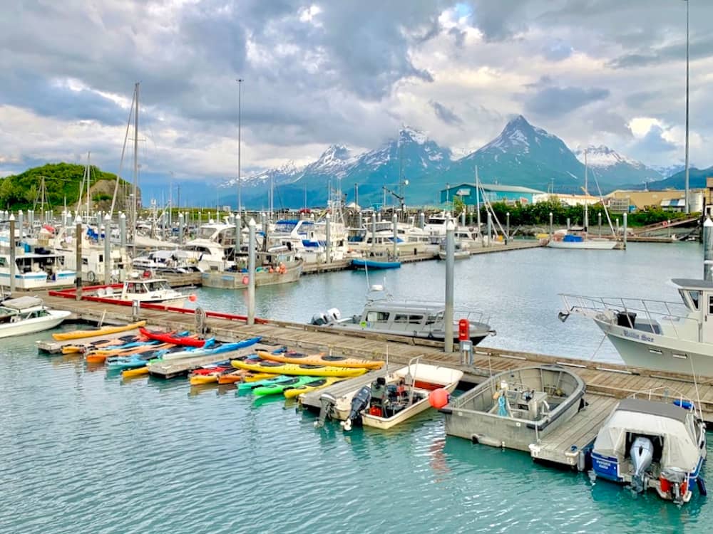 A harbor with tons of boats docked with mountains in the background in Valdez, Alaska.