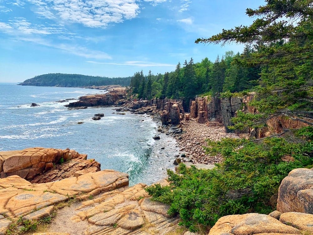 Beautiful green trees lining the rocky coastline in Acadia National Park in Maine.