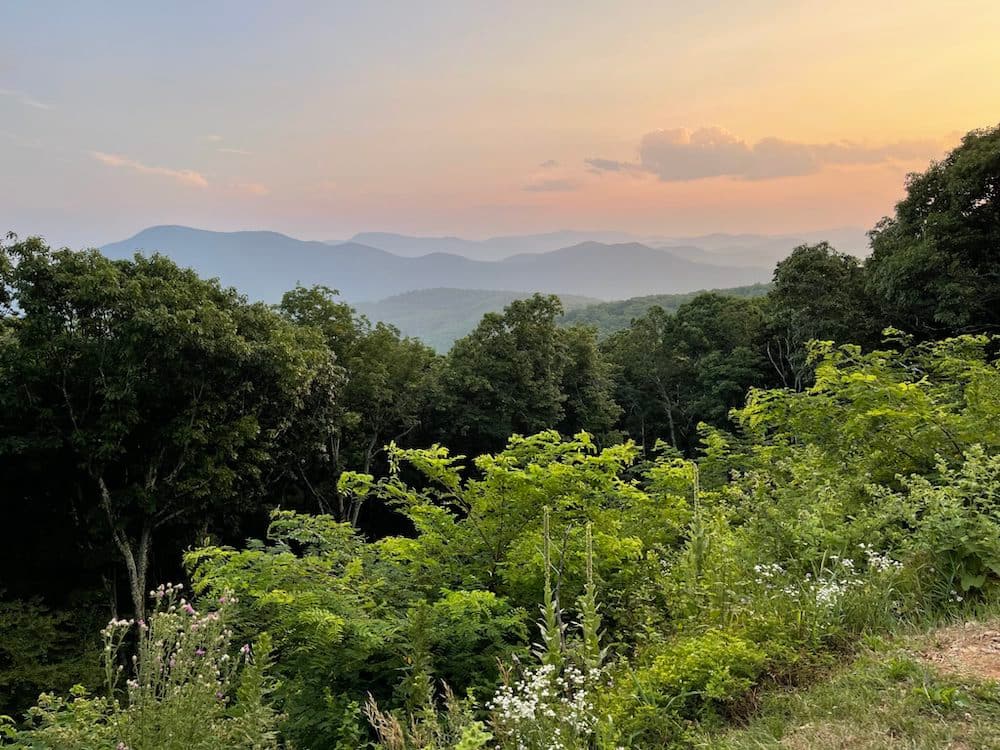 The green trees in front of the sunset in Shenandoah National Park