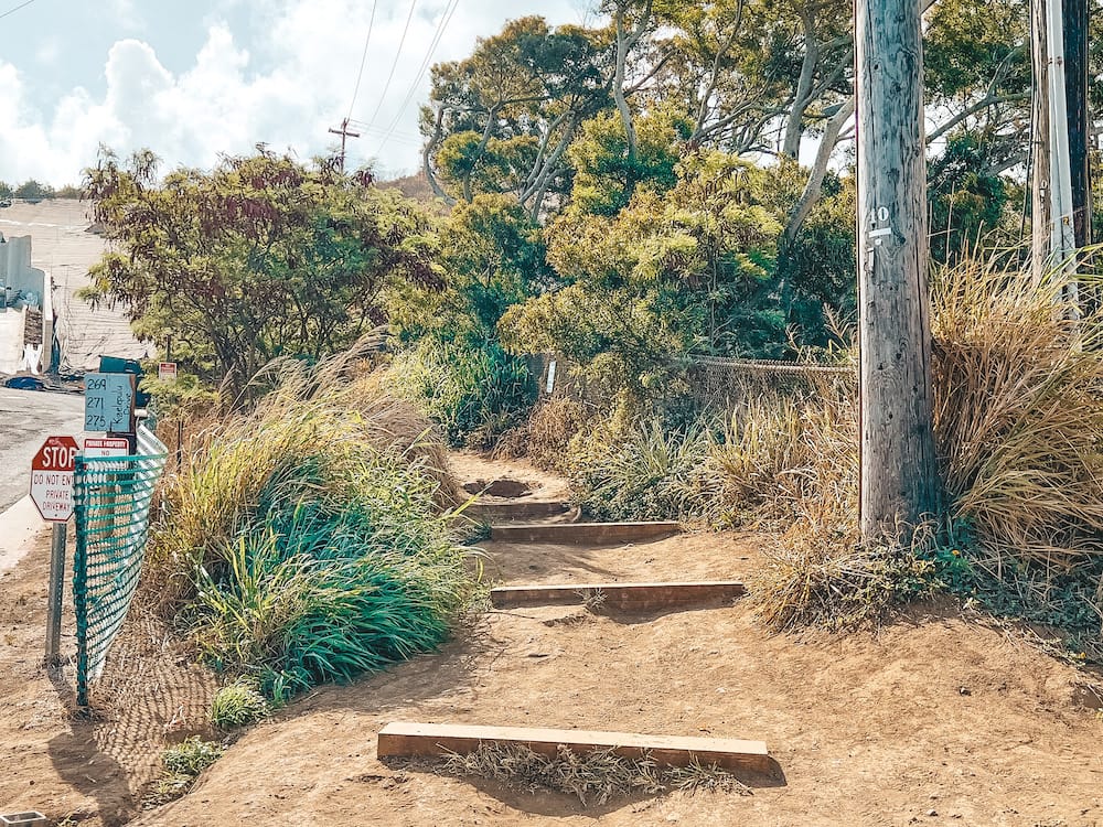 The steps leading up to the Lanikai Pillbox Trail surrounded by plants and trees.