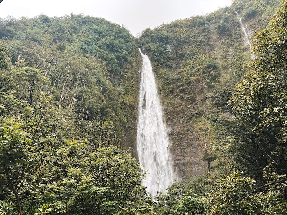 A tall waterfall cascading down a tropical rainforest in Maui, Hawaii