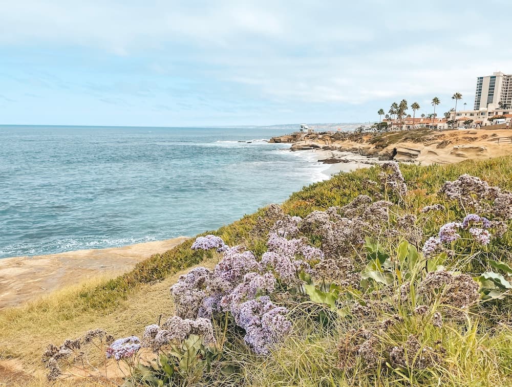 La Jolla, San Diego, California: Photos & Trip Report