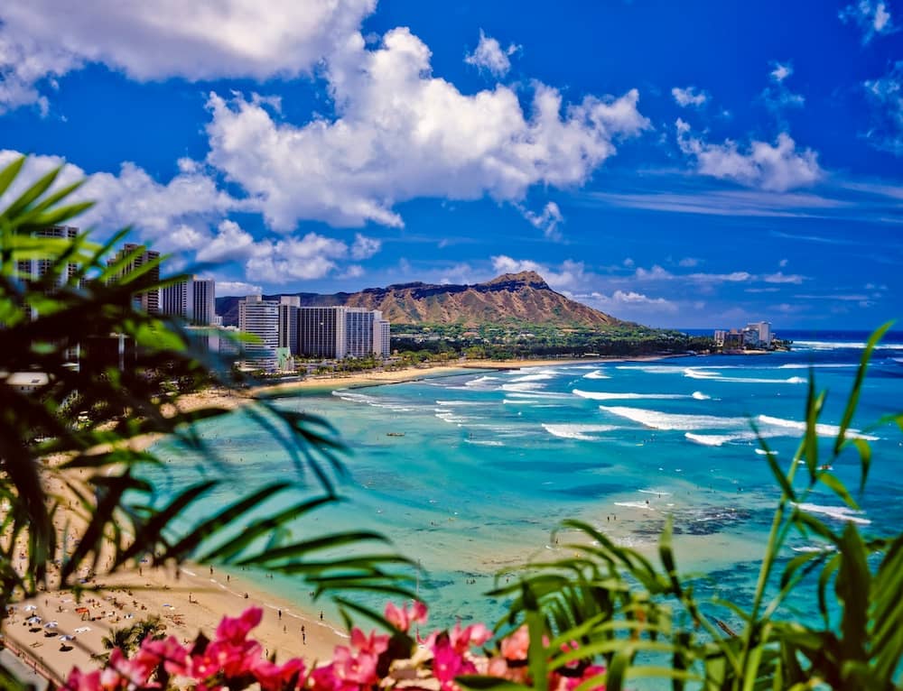 A view of Diamond Head Volcano and Waikiki Beach with pink Hawaiian flowers and green palm trees in the foreground.