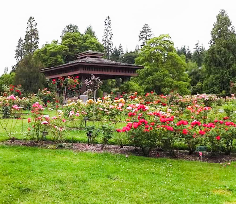 A flower garden in front of a brown gazebo.