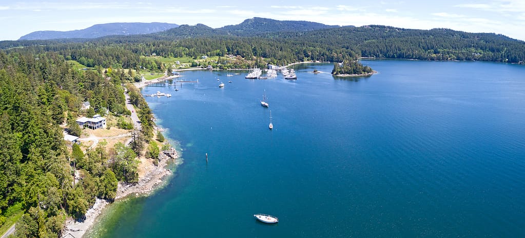 An aerial view of a lush green island sitting on the blue ocean with white boats peppering the coast.