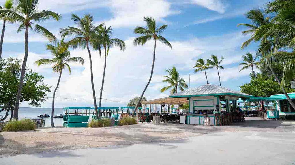 The palm trees and thatched green buildings on the beach in the Florida Keys.