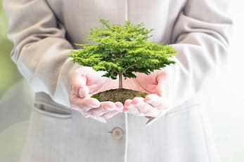 plant health care scottsdale, az plant health care scottsdale, az