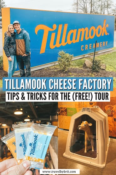 This mini cheese grater at the Tillamook Factory. : r