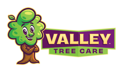 valley tree feeders phoenix, az logo