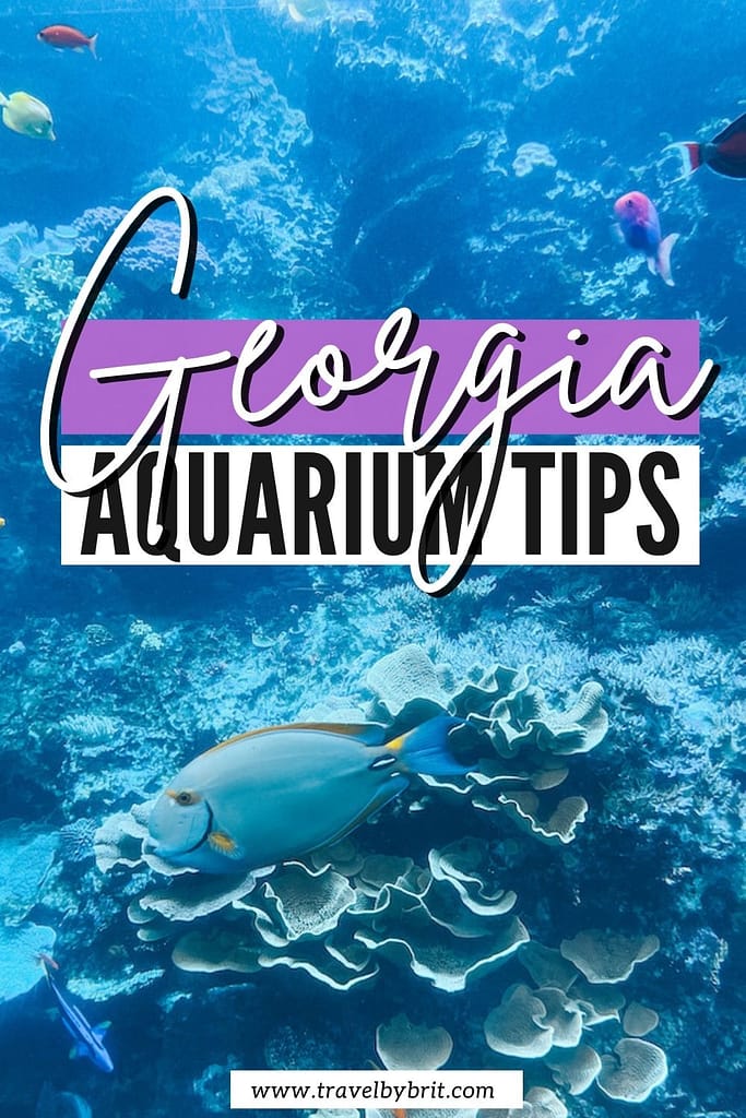 Baby Tips: Visiting the Georgia Aquarium - Peaches to Pearls