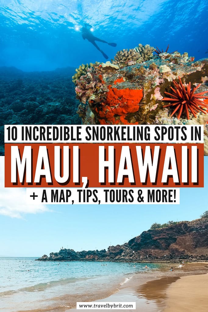 snorkeling excursions in maui