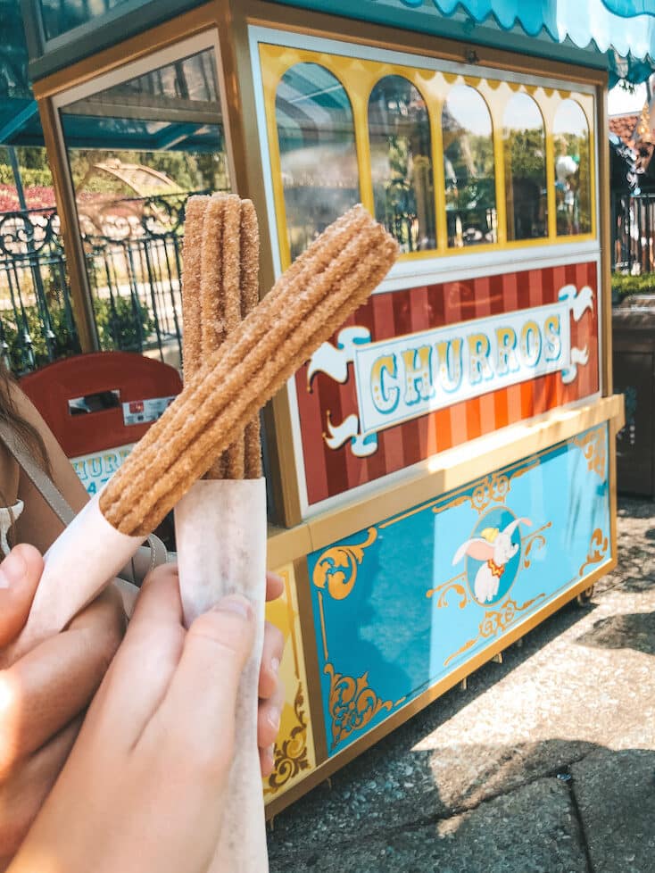 Southern California Road Trip Itinerary - Disneyland Churros - Travel by Brit