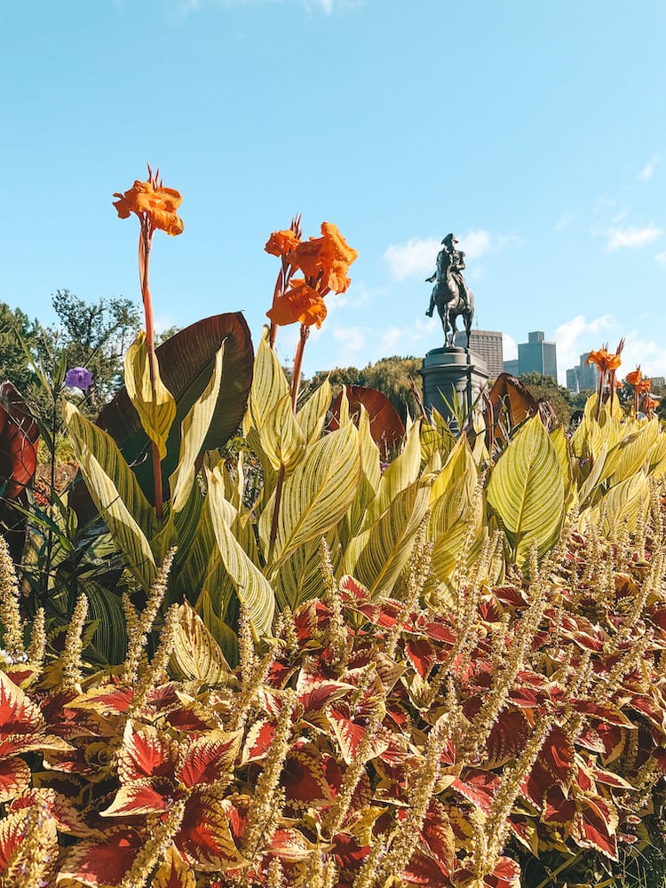 Best Things to Do in Boston - Boston Public Garden - Travel by Brit