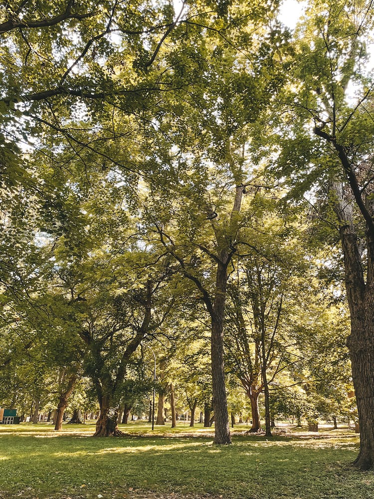 Weekend in Louisville - Central Park with green trees - Travel by Brit