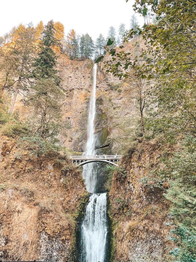 Multnomah Falls, an iconic waterfall and bridge in the Columbia River Gorge