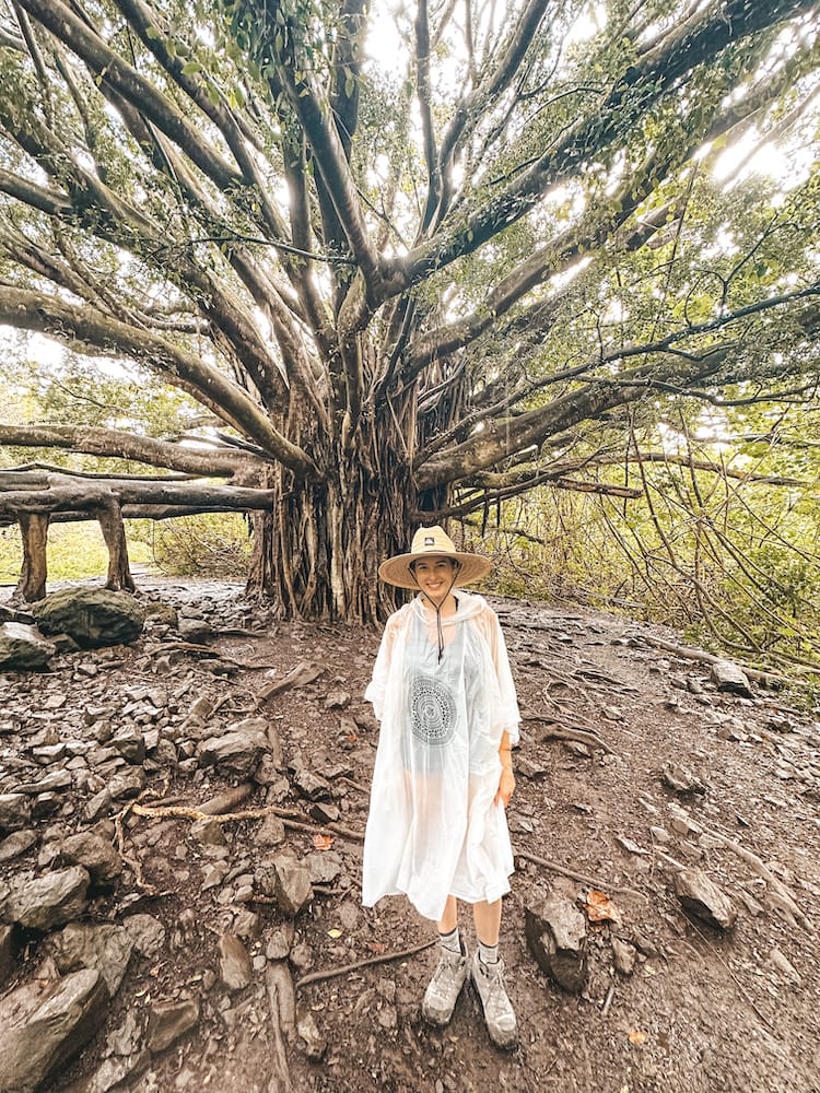 A woman in a straw hat and poncho standing under a banyan tree, surrounded by dirt and rocks.