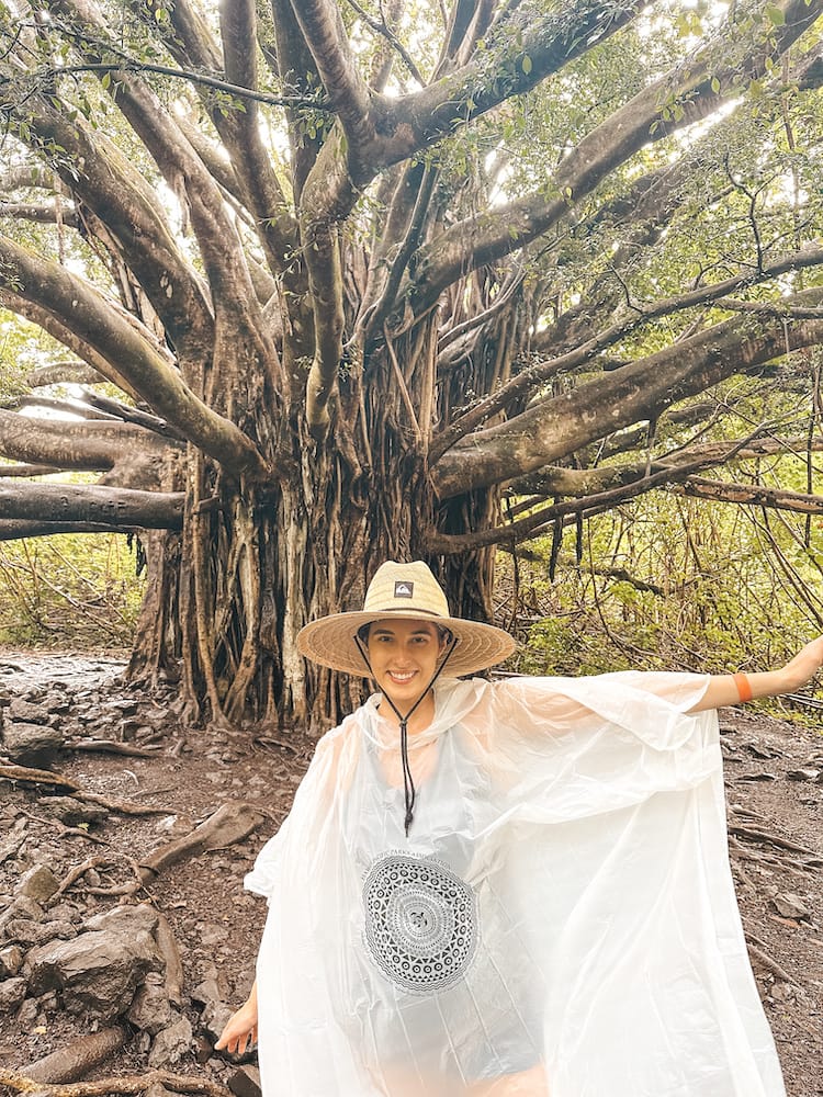 A woman in a straw hat and poncho standing under a banyan tree, surrounded by dirt and rocks.