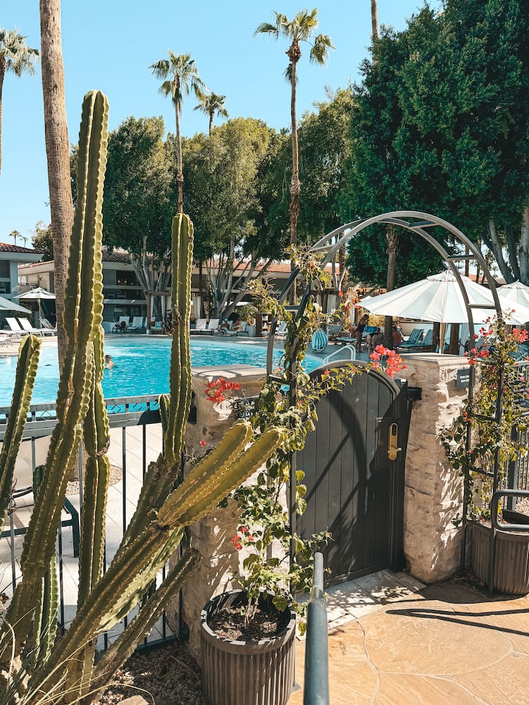 A black iron gate surrounded by pink flowers and cacti guards the entrance to a bright blue swimming pool