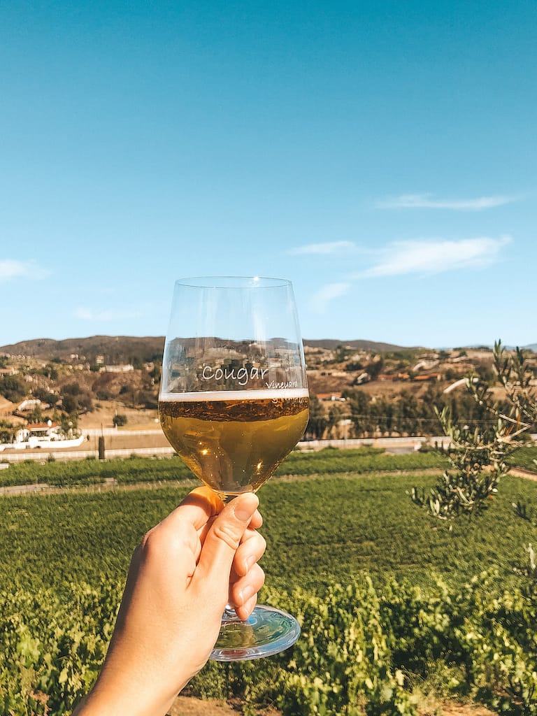 Best Wineries in Temecula - Cougar Vineyard & Winery - Travel by Brit