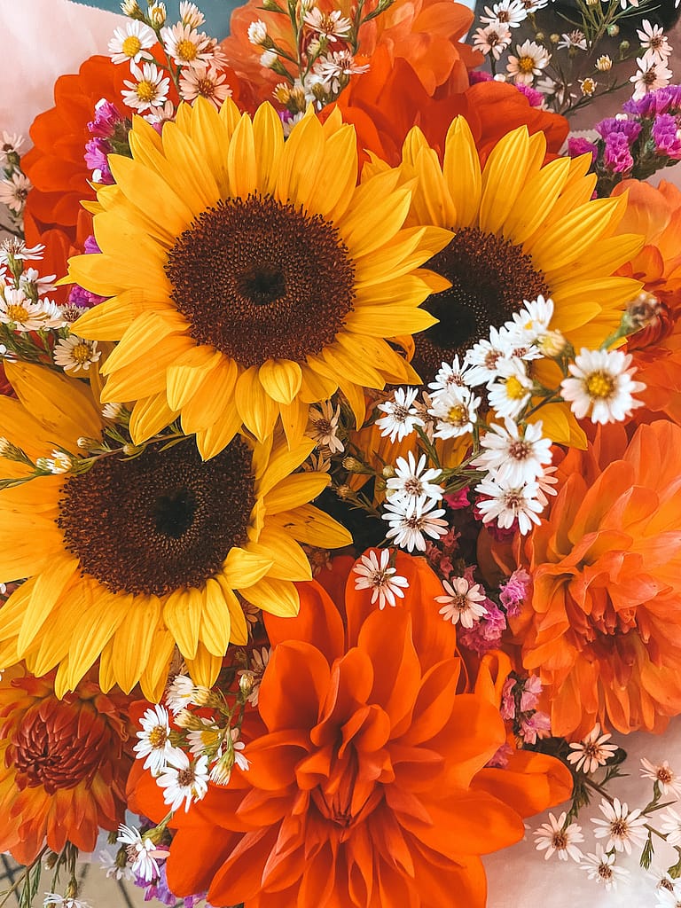 A bouquet of flowers, including sunflowers and daisies and red hydrangeas from Pike Places Market.