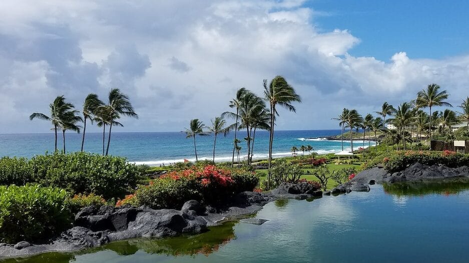 A pool and ocean surrounded by palm trees and flowers in Kauai, one of the best places to visit in the USA In April.