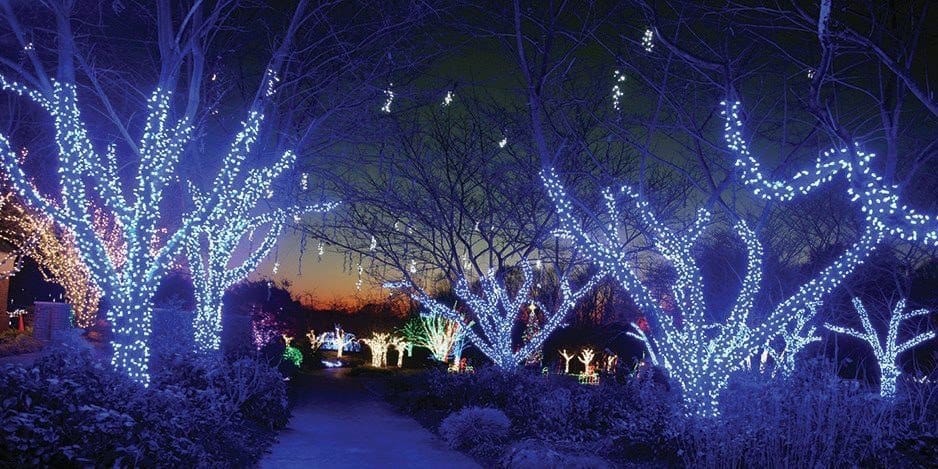 Christmas in Cities - Vienna, VA