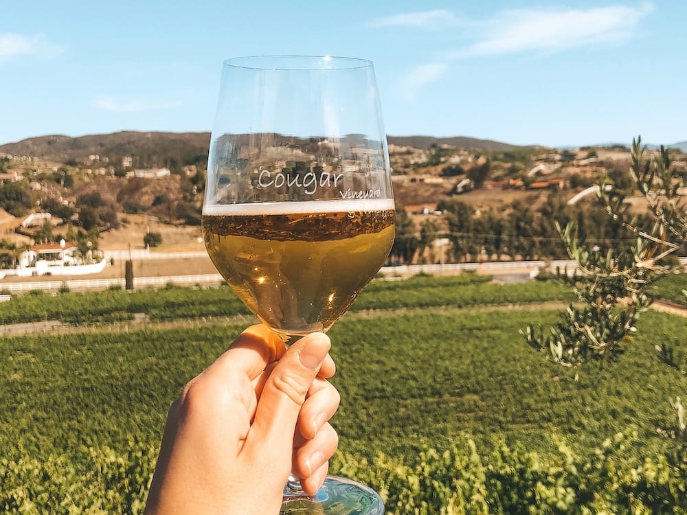 10 Best Wine Tours in Temecula, California