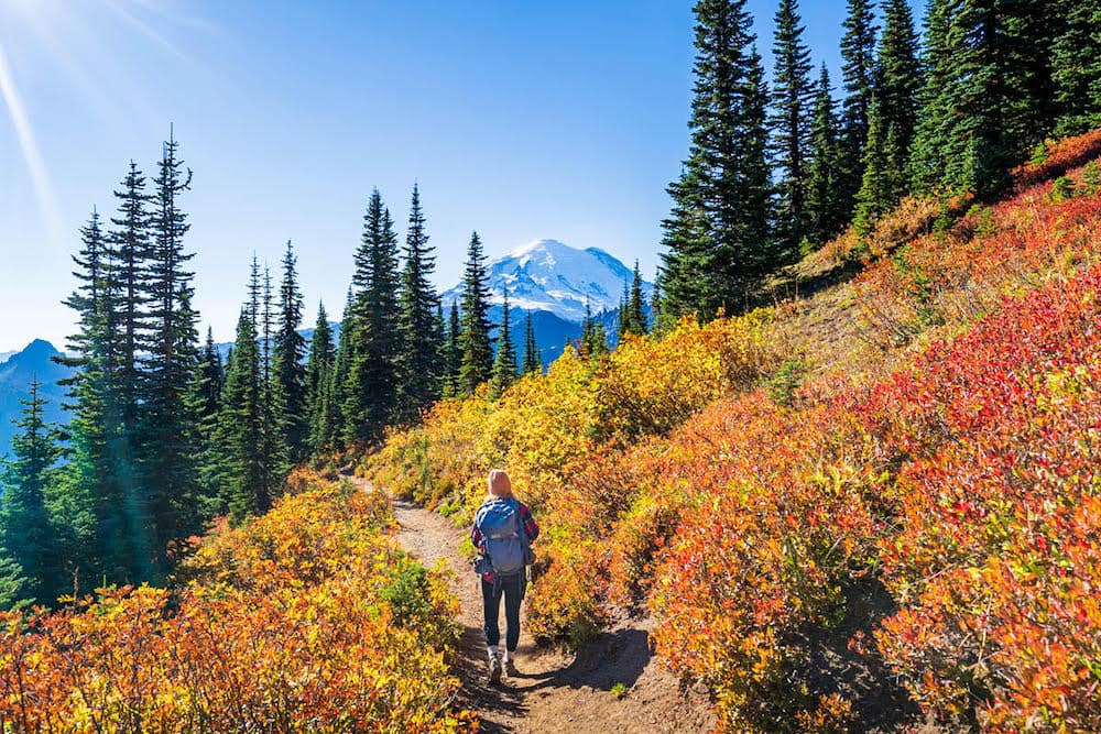 A woman walking through a forest with a blue backpack with gorgeous red, yellow, and orange ground cover, green trees in the background, and Mount Rainer in the background.