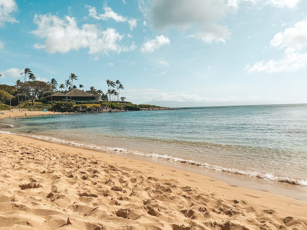 Kapalua Bay Beach in Maui with golden sand and blue waves crashing onto the shore with palm trees in the background.