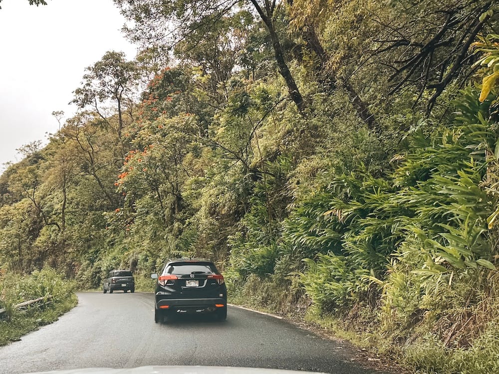 Two vehicles on the Road to Hana, surrounded by green foliage.