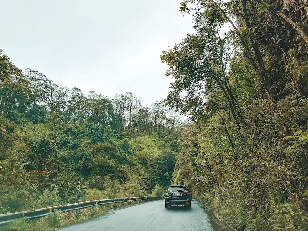 The Road to Hana, a one-way road winding through lush green foliage in Maui, Hawaii