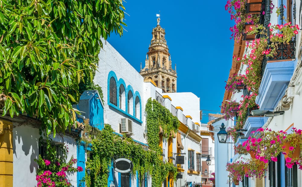 White buildings with blue and yellow trim with greenery and pink flowers in hanging pots in Cordoba, one of the best places to visit in Spring in spring