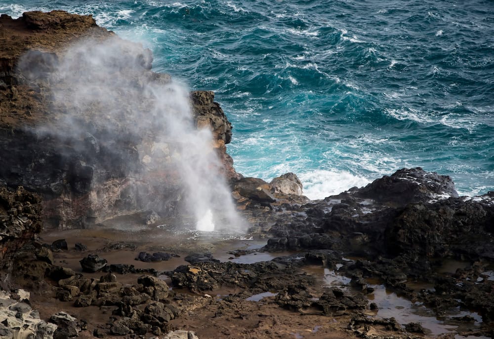 A blowhole erupting from the volcanic rocks in the ground bordering the ocean.