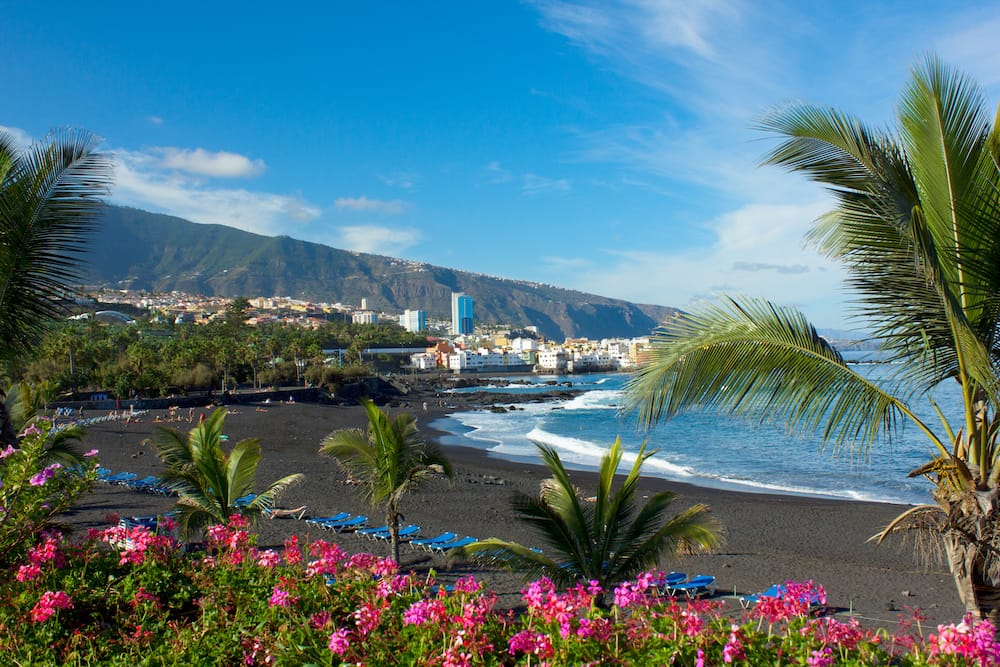 One of the black sand beaches in Tenerife, one of the Canary Islands, and one of the best places to visit in Spain in Spring. The beach is adorned with green palm trees and pink flowers.