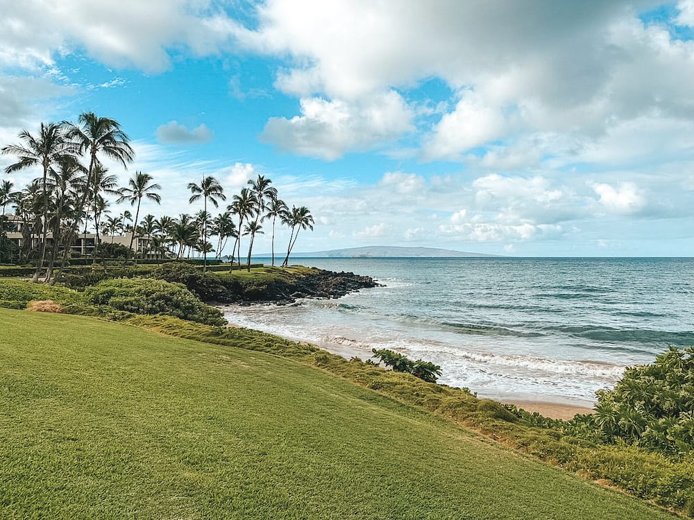 A grassy area overlooking a beach in Maui, surrounded by palm trees.