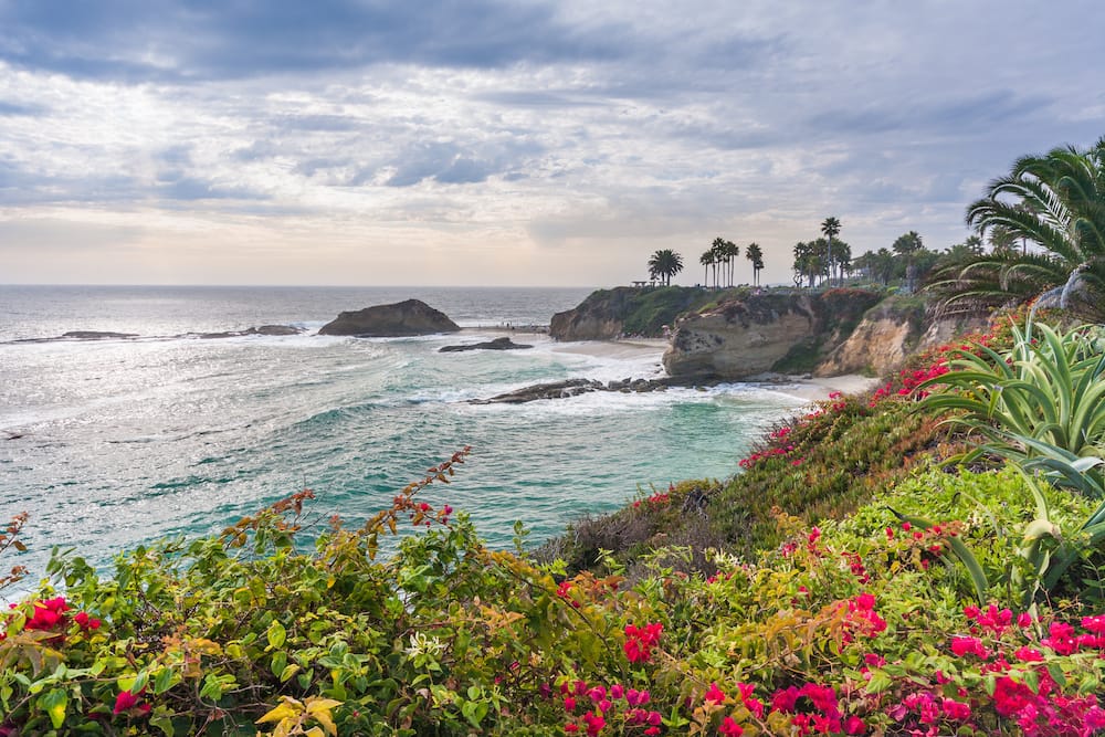 Several plants and red and pink flowers in front of a gorgeous cove at Laguna Beach with palm trees in the background and turquoise waves.
