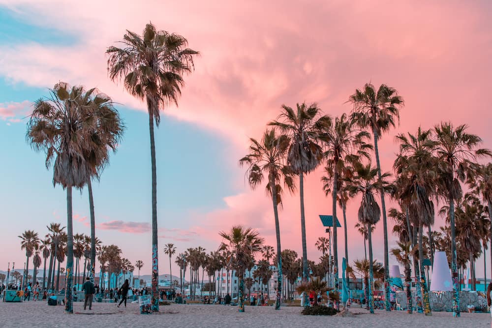A blue and pink sunset behind palm trees at Venice Beach, one of the most unique beaches in California